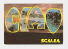 SCALEA (CS) - Panorama Della Spiaggia Al Tramonto E 4 Vedute - Viaggiata - In Buone Condizioni - DC0636. - Andere & Zonder Classificatie