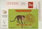 Monkey,China 2003 Forest Fire Police Advertising Postal Stationery Card - Mono