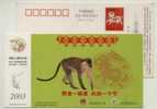 Monkey,China 2003 Forest Fire Police Advertising Postal Stationery Card - Apen