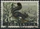 PIA - YUG - 1960 - Faune De La Yougoslavie - (Un 819) - Used Stamps