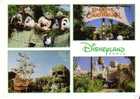 DISNEYLAND -  Adventureland - 4 Vues - Disneyland