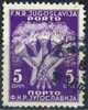 PIA - YUG - 1946-47 - T.Taxe - Segnatasse - Post Pay - (Un 107) - Segnatasse