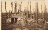 Houthulst Bos / Ruines De La Foret D'hou Hulst 1914 1918 - Houthulst