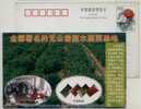 China 2002 Ningxia Base Of Free-pollution Dehydration Vegetable Advertising Postal Stationery Card - Vegetables