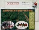 China 2002 Ningxia Base Of Free-pollution Dehydration Vegetable Advertising Postal Stationery Card - Vegetazione