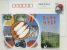 Mountain No-pollution Radish,cabbage,corn,China 2000 Wuci Vegetable Association Advertising Pre-stamped Card - Légumes