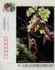 Happy Monkey,Photograph,CN04 Qiyi Cup Wildlife Animal Photography Contest Advertising Pre-stamped Card - Singes