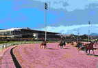 CAGNES-sur-MER - L'Hippodrome De La Côte D'Azur - Paardensport