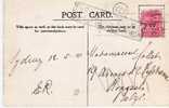 NSW018/ 1910,  Ansichtskarte 20 000 Schafe, Mit Strafporto Von Sydney 18.5.10  Nach Belgien - Cartas & Documentos