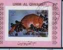 Bf Umm Al Qiwain  Animaux & Faune Mammifères Rongeurs - Rodents