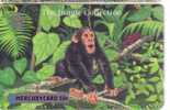 MONKEY  ( England Rare Mercury Card ) *** Singe – Mono - Scimmia - Affe – Singes - Affen - Monkeys – Singes - Jungle * - Nieuw-Zeeland