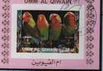 Bf Umm Al Qiwain  Oiseaux Perroquets & Tropicaux - Papagayos