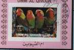 Bf Umm Al Qiwain  Oiseaux Perroquets & Tropicaux - Perroquets & Tropicaux