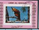 Bf Umm Al Qiwain  Oiseaux Perroquets & Tropicaux - Papagayos