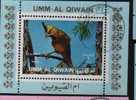 Bf Umm Al Qiwain  Oiseaux Perroquets & Tropicaux - Pappagalli & Tropicali