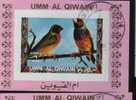 Bf Umm Al Qiwain  Oiseaux Perroquets & Tropicaux - Pappagalli & Tropicali