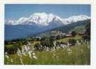 Au Pays Du Mont Blanc: Combloux Et Le Mont Blanc (07-1544) - Combloux