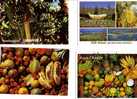 7 Carte De Bananes - 7 Bananas Postcards - Jamaica - Culturas