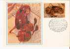 MAXI CARD FDC - Porcelain