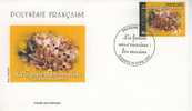 B1644 Oursin Polynesie Francaise 2002 FDC Premier Jour - Crustáceos