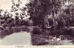 AUDERGHEM = Un Coin De La Pêcherie Au Rouge Cloître - Carte Photo (vierge) - Auderghem - Oudergem