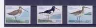 Far Oer - Serie Completa Nuova: Uccelli - Storks & Long-legged Wading Birds