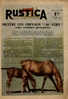 Rustica 14e Année N°19 - 11 Mai 1941 - Mettre Les Chevaux "au Vert" - Animali