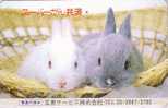 Télécarte JAPON - ANIMAL- LAPIN - RABBIT JAPAN Phonecard- Kaninchen Tier TK Konijn Conejo - 07 - Kaninchen