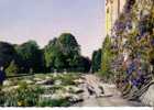 CLERES - Grues Couronnées Sur La Terrasse Du Château - Clères