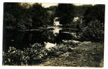 Chantonnay La Vallée Du Lay à Moulin Neuf 1948 - Chantonnay