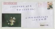 Insect,honeybee,bee,flowe   R,China  2003 New Year Advertising Postal Stationery Envelope,open On Topper Margin - Abeilles