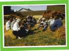 FAINS LA FOLIE 1993 FETE DE LA MOISSON LA MIETTEE PHOTO GERARD ROUHAULT  CARTE EN SUPERBE ETAT - Culturas