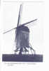 WANNEGEM Grote Molen Ongelopen - Lede