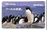 PENGUIN ( Japan Card )*** Pingouin - Manchot - Pinguin - Pingüino - Pinguino - Penguins - Pingouins - Polar - Polaire * - Pinguïns & Vetganzen