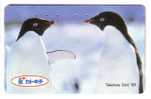 PENGUIN ( Japan Card )*** Pingouin - Manchot - Pinguin - Pingüino - Pinguino - Penguins - Pingouins - Polar - Polaire * - Pinguine