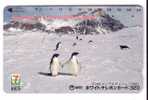 PENGUIN ( Japan Card )*** Pingouin - Manchot - Pinguin - Pingüino - Pinguino - Penguins - Pingouins - Polar - Polaire * - Pinguine