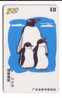 PENGUIN ( China Card )*** Pingouin - Manchot - Pinguin - Pingüino - Pinguino - Penguins - Pingouins - Polar - Polaire * - Pinguïns & Vetganzen