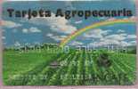 COLOMBIA- 1997- " TARJETA AGROPECUARIA " - BANCAFE - DEBIT CARD- CARTE BANCAIRE - Geldkarten (Ablauf Min. 10 Jahre)