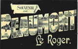 Souvenir De BEAUMONT-le-ROGER - Beaumont-le-Roger