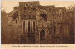 Ruines De L´abbaye De Villers    Eglise  Et Transept Droit Vus Du Robertmont - Villers-la-Ville