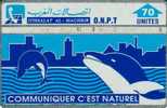 MOROCCO  70 U  DOLPHIN  ANIMAL ANIMALS  L & G MOR-029e  CODE:506C   SPECIAL PRICE !!! READ DESXCRIPTION ! - Maroc