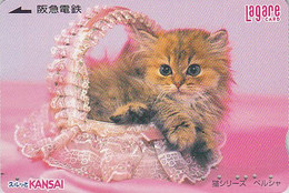 Carte Prépayée JAPON - ANIMAL - CHAT Roux Dans Un Panier En Dentelles - CAT KATZE KAT GATO JAPAN Prepai Lagare Card - 25 - Katzen