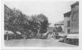 04 - MANOSQUE - Boulevard De La Plaine, Bords Blancs - Manosque