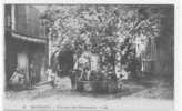 04 - MANOSQUE - Fontaine Des Observantins, LL 19 / ANIMEE - Manosque