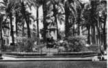 BÔNE - Statue Bertagna Et Le Cours - Annaba (Bône)