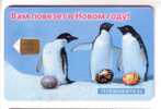 PENGUIN - Happy New Year (Russia) Pingouin Manchot Pinguin Pingüino Pinguino Penguins Pingouins Polar Polaire Bird Birds - Pinguïns & Vetganzen