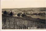 Remich Sur  Moselle  Hopital Sint Joseph Vue Prise Du Primerberg - Remich