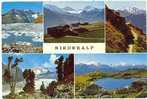 RIEDERALP - Riederalp