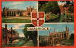 * Cambridge (Cambridgeshire) * England, école, Vieux Carte, Old, Trinity College, Bridge, King's College,schoo - Cambridge