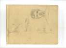 - CROQUIS DIVERS. DESSINS PROVENANT D´UN CARNET DE CROQUIS FAITS A ALGER EN 1941 . - Dessins